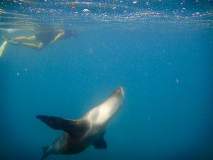 Tagus Cove, Isabella Island, Galapagos 185.jpg